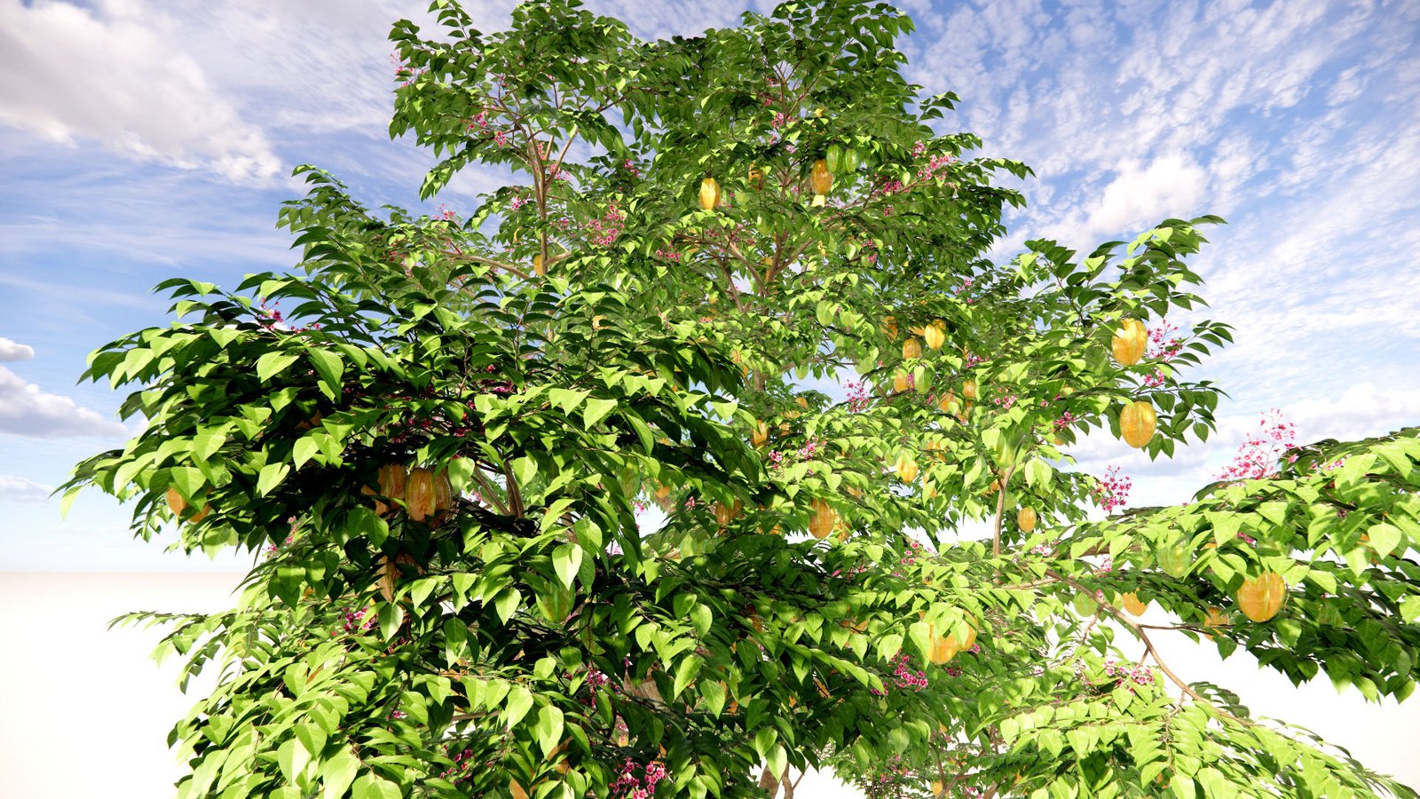 KHẾ